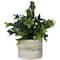 11" Green Faux Foliage Eucalyptus Artificial Plant with Patterned Porcelain Pot